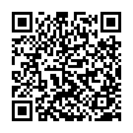 QR code for G13SMR