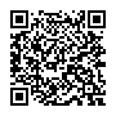 QR code for G29PYE