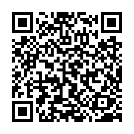 QR code for G38WZX