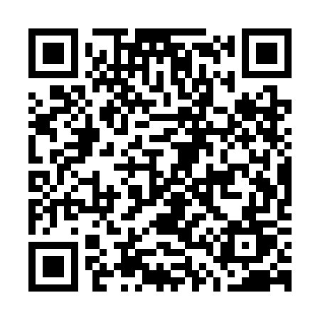 QR code for G41SGT