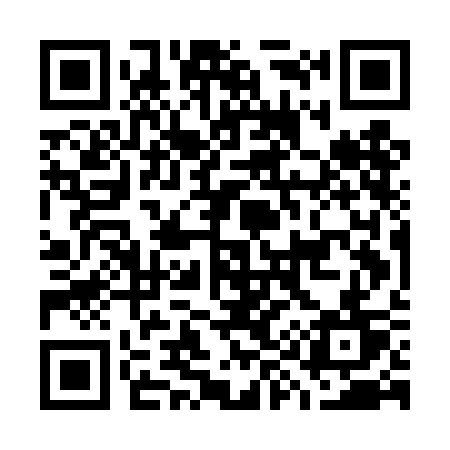 QR code for G95DCT