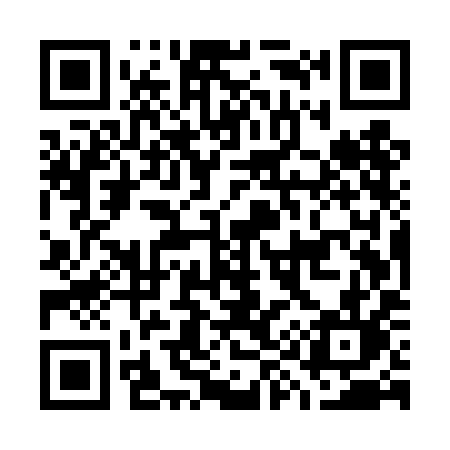 QR code for G95TIL