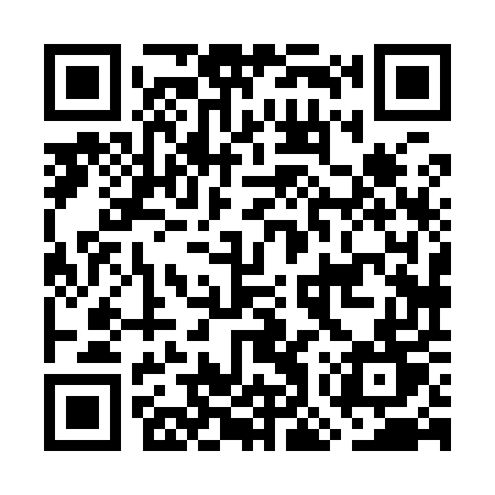 QR code for GOX95T