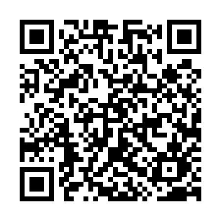 QR code for GPT51N