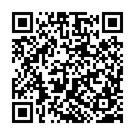 QR code for GPZ29V