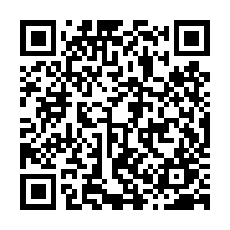 QR code for H01DZT