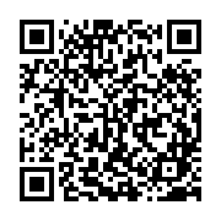 QR code for H01HLL