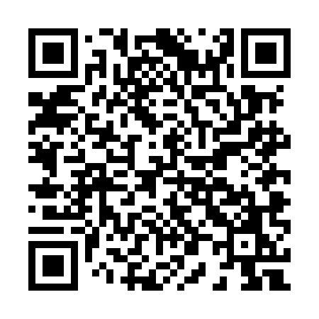 QR code for H04MMO