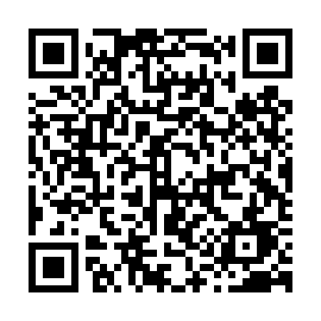 QR code for H12DSD