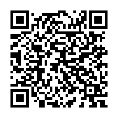 QR code for H13MIR