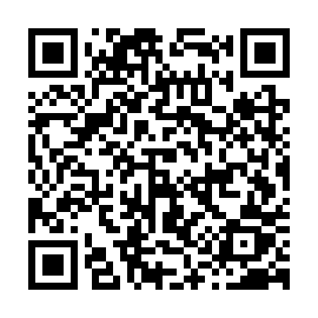 QR code for H17CPZ