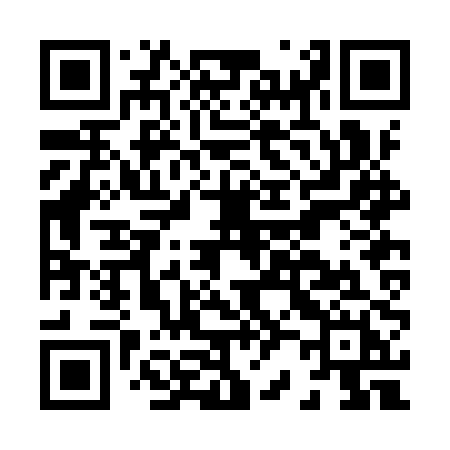 QR code for H22IPH