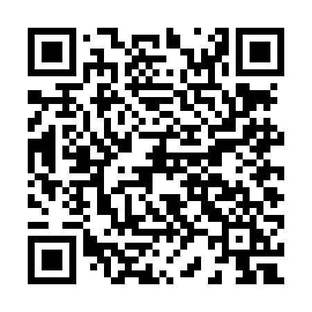 QR code for H24LFI
