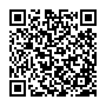 QR code for H28DNN