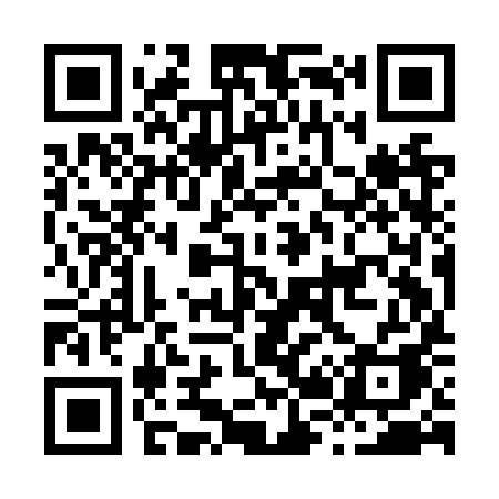 QR code for H29NYA