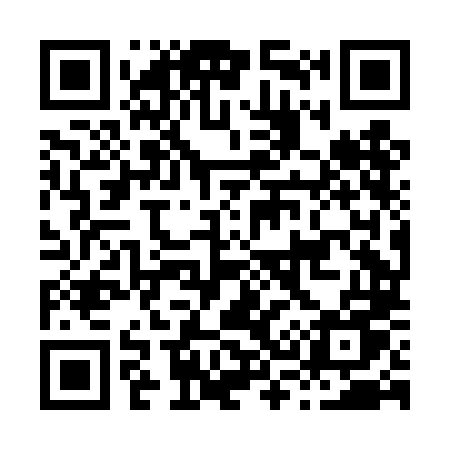 QR code for H38DLU