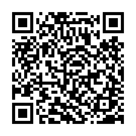 QR code for H46DNS