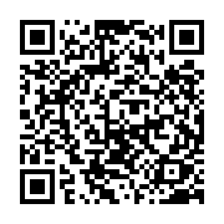 QR code for H50EEX