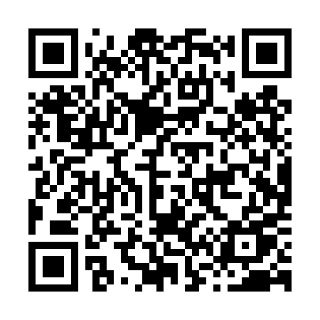 QR code for H60TPU
