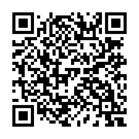 QR code for H63LAO