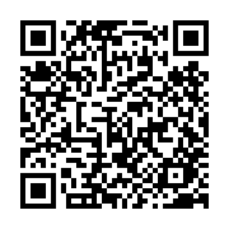 QR code for H96DHO