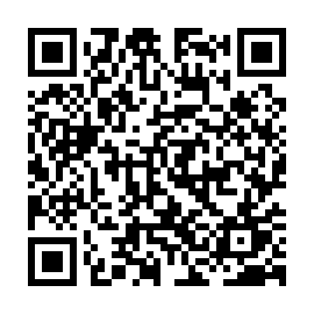 QR code for HCO11T