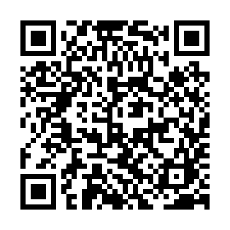 QR code for HFS29C