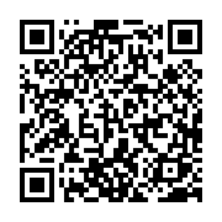 QR code for HGP06Q