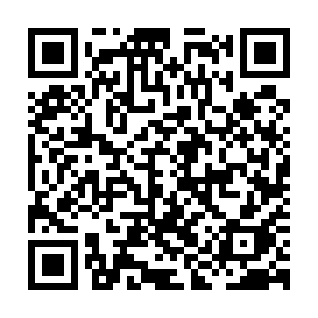 QR code for HIV51H