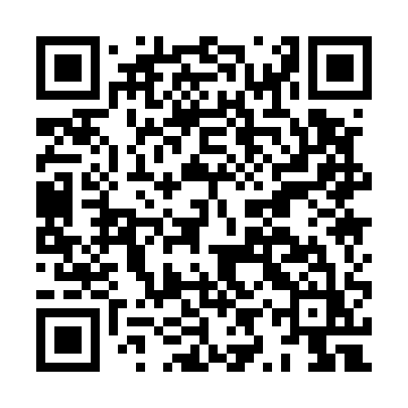 QR code for HYQ51Z