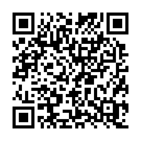 QR code for HYV36G