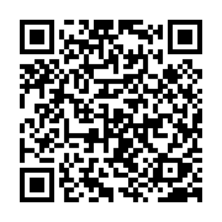 QR code for HYY01Y