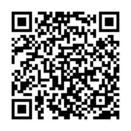 QR code for HYY29S