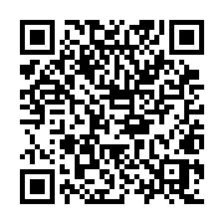 QR code for I13SMP