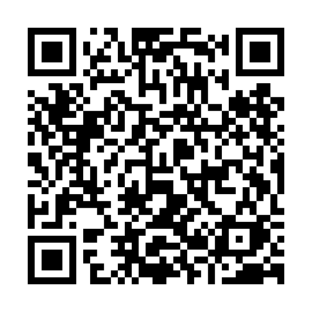QR code for I29DCK