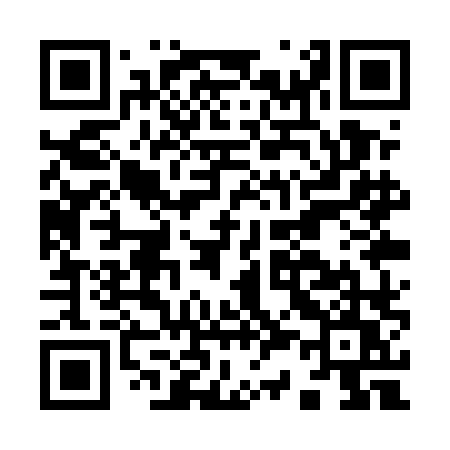 QR code for I31ULU