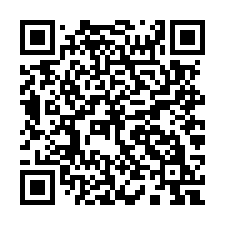 QR code for I46MSO