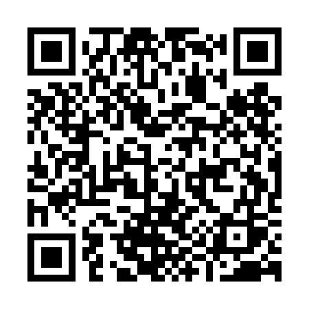 QR code for I91DGS