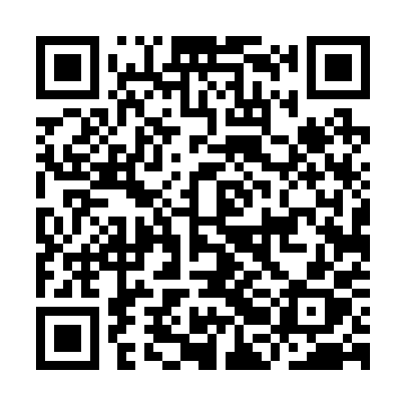 QR code for IBD20X
