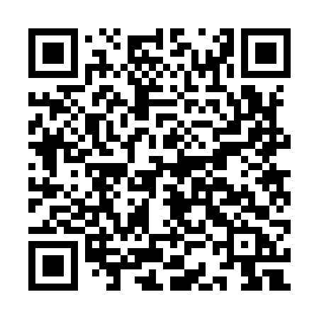 QR code for ICB96B