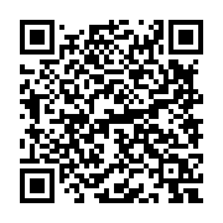 QR code for ICN87T