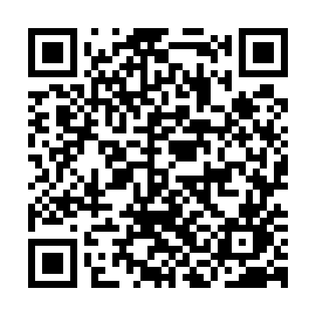 QR code for ICO55N