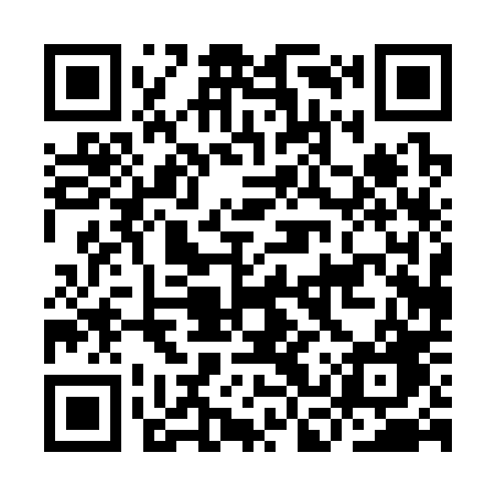 QR code for ICP30G