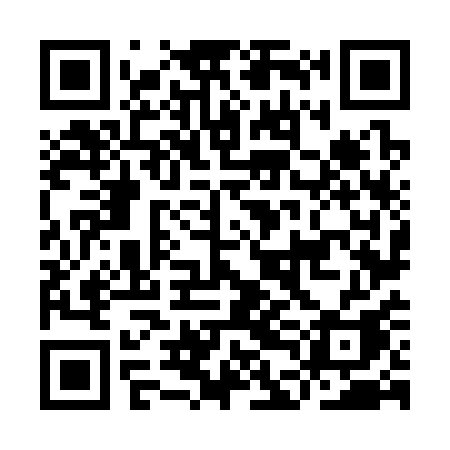 QR code for IDN31A
