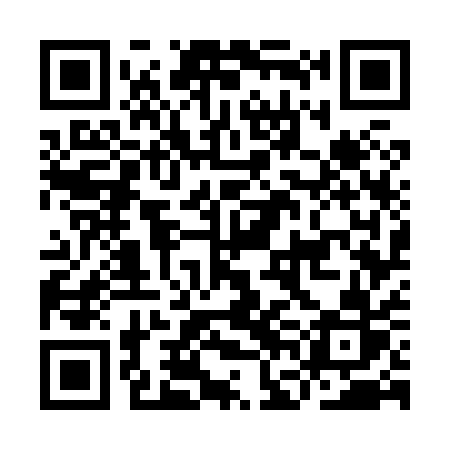 QR code for IFG81R