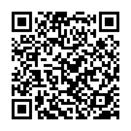 QR code for IFM11I