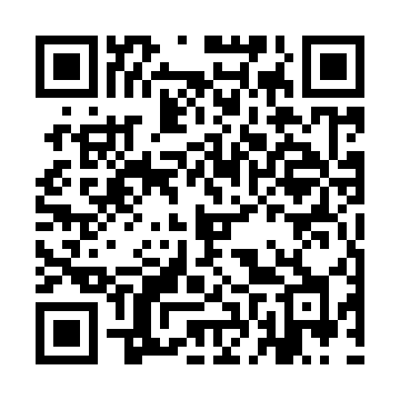 QR code for IFU95H