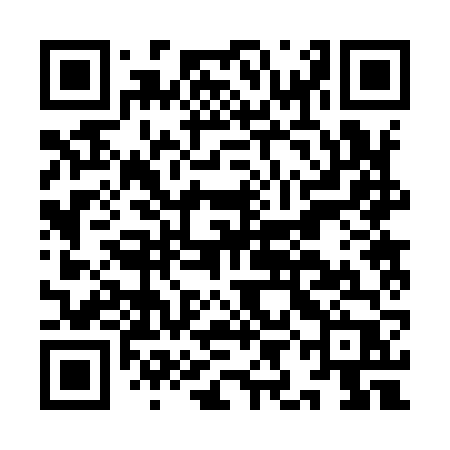QR code for IIB96P