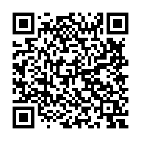 QR code for IIE85Q