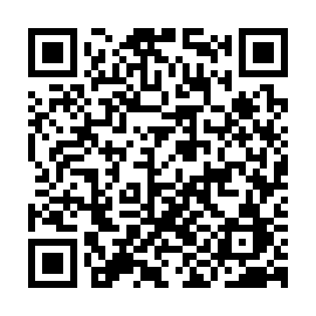QR code for IIG33B
